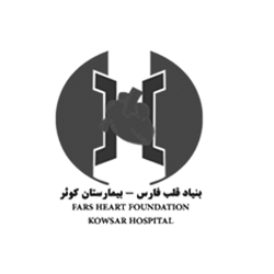 بنیاد قلب فارس